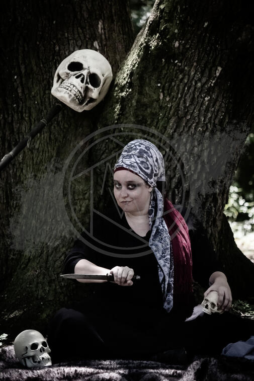 Hoggetowne Medieval Faire