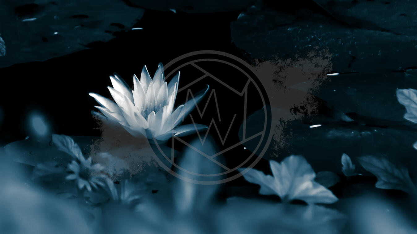 Monochrome Lotus