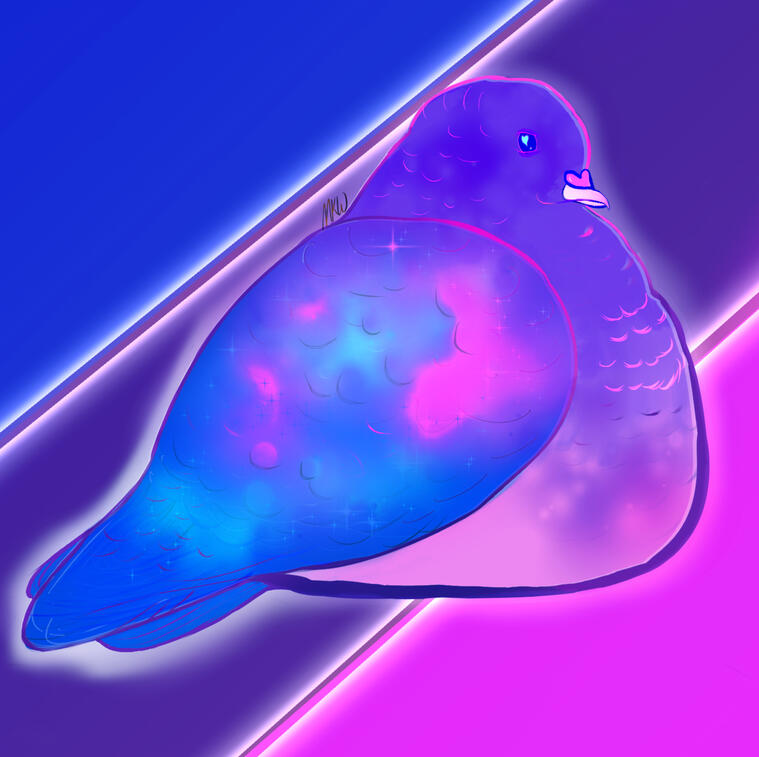 Bi Pride Pigeon